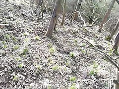 pissing in the woods