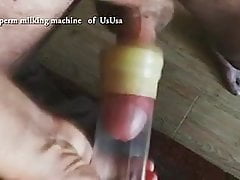 The sperm milking machine of UsUsa