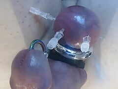 saline injection penis and needles through balls in bdsm cbt games